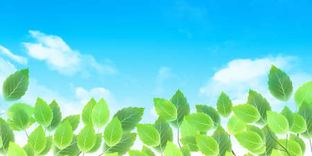 Fresh green leaves spring backgroundのイラスト素材