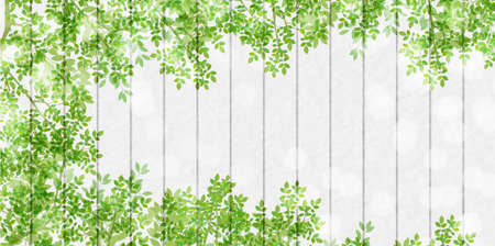 Fresh green leaves spring backgroundのイラスト素材