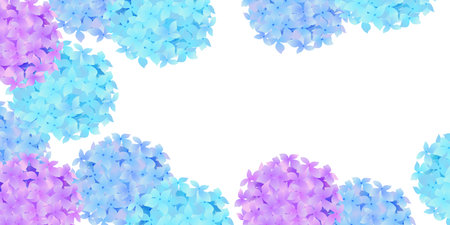 Hydrangea rainy season flower backgroundのイラスト素材