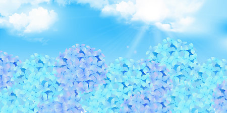 Hydrangea rainy season flower backgroundのイラスト素材