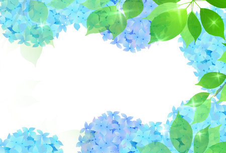 Hydrangea rainy season flower backgroundのイラスト素材