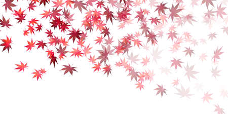 Autumn leaves Maple autumn backgroundのイラスト素材