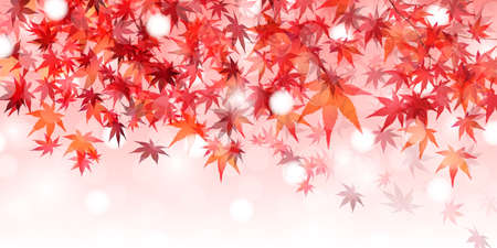 Autumn leaves maple autumn backgroundのイラスト素材