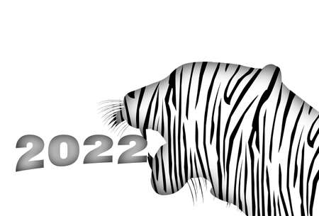 Tiger New Year's card tiger pattern backgroundのイラスト素材