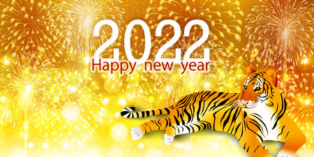 Tiger fireworks new year background