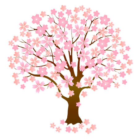 Cherry blossoms spring tree iconのイラスト素材