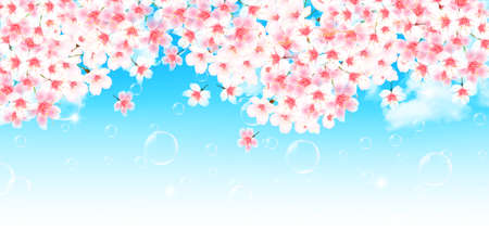 Cherry blossoms spring landscape backgroundのイラスト素材