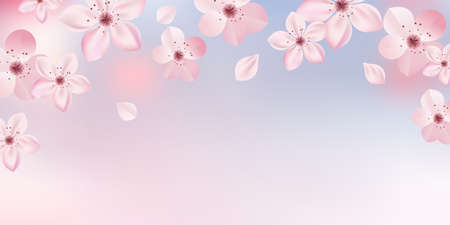 Cherry blossoms Spring flower backgroundのイラスト素材