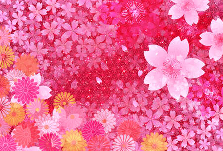 Cherry blossoms Japanese pattern chrysanthemum backgroundのイラスト素材