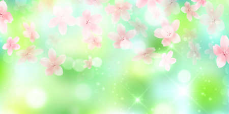 Cherry blossoms spring fresh green backgroundのイラスト素材