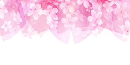 Cherry blossoms spring flower backgroundのイラスト素材
