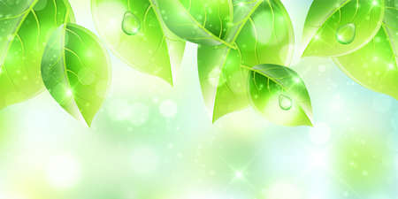 Fresh green leaves spring backgroundのイラスト素材
