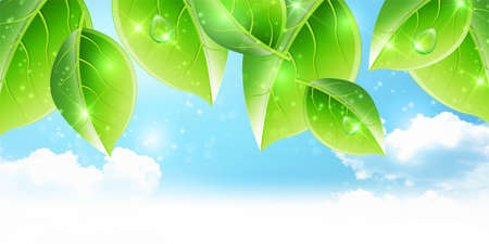 Fresh green leaves spring backgroundのイラスト素材
