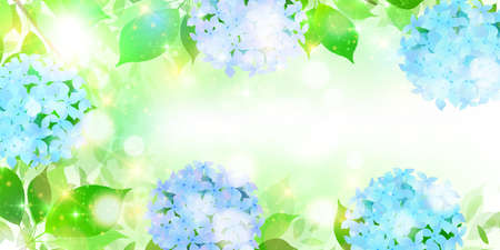 Hydrangea rainy season flower backgroundのイラスト素材
