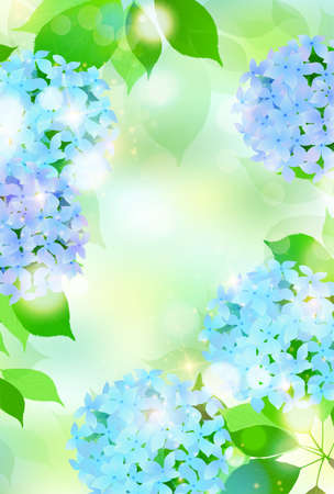 Hydrangea rainy season flower backgroundのイラスト素材