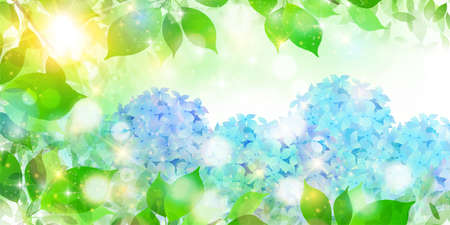 Hydrangea rainy season flower backgroundのイラスト素材