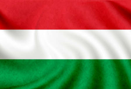 Hungary Country National flag iconのイラスト素材