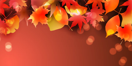 Autumn leaves maple autumn backgroundのイラスト素材