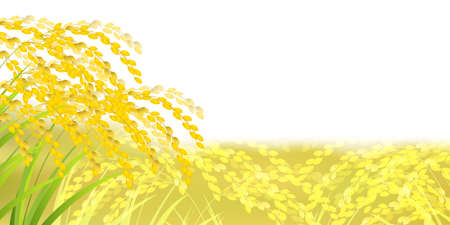 Rice rice autumn gold backgroundのイラスト素材