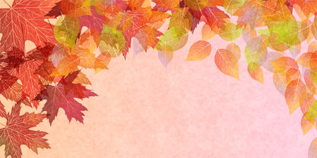 Autumn leaves maple autumn background