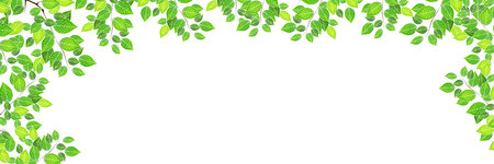 Fresh green leaf landscape backgroundのイラスト素材