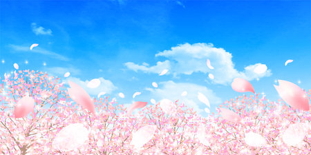 Cherry blossom spring blue sky backgroundのイラスト素材