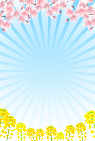 cherry blossom Rape blossom spring backgroundのイラスト素材