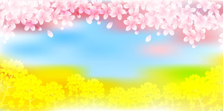 cherry blossom Rape blossom spring backgroundのイラスト素材