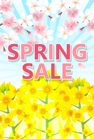 Cherry blossom rape blossom spring sale backgroundのイラスト素材