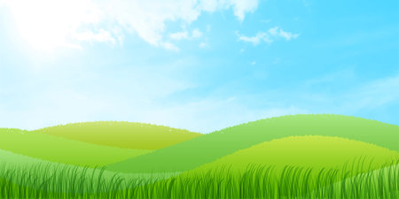 Grass meadow landscape natural backgroundのイラスト素材