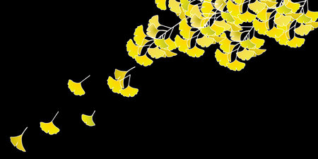 Autumn Leaves Ginkgo Autumn Backgroundのイラスト素材