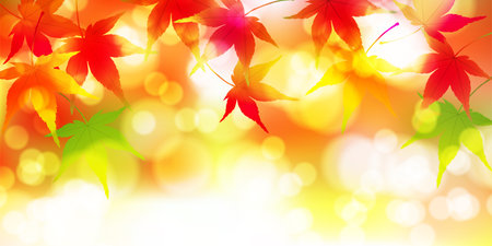 Autumn Leaves Maple Tree Autumn Backgroundのイラスト素材