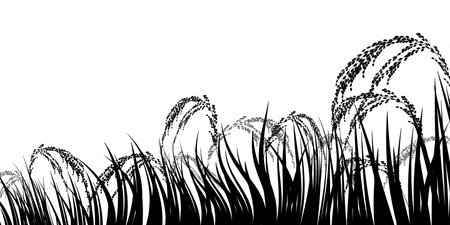 rice rice autumn landscape backgroundのイラスト素材
