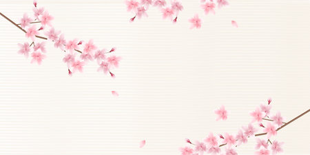 Cherry Blossoms Japanese Pattern Spring Backgroundのイラスト素材