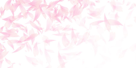 Cherry Blossoms Spring Petals Backgroundのイラスト素材