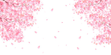 Cherry Blossoms Spring Petals Backgroundのイラスト素材