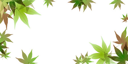 fresh green leaf maple backgroundのイラスト素材