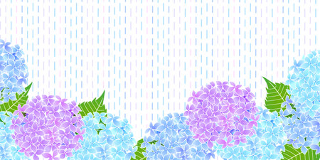 hydrangea rainy season flower backgroundのイラスト素材