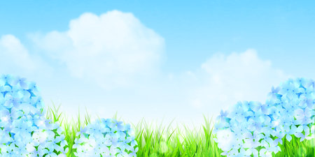 hydrangea rainy season flower backgroundのイラスト素材