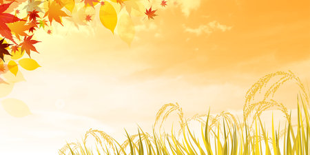 Rice Autumn Countryside Landscape Backgroundのイラスト素材