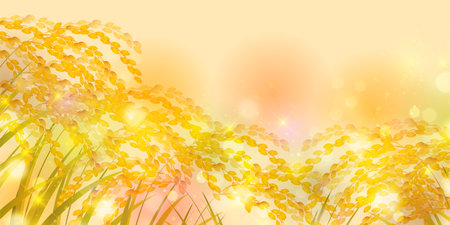 Rice Autumn Countryside Landscape Backgroundのイラスト素材
