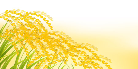 Rice Autumn Countryside Landscape Backgroundのイラスト素材