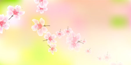 Japanese Pattern Cherry Blossoms Spring Backgroundのイラスト素材