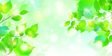 fresh green leaves landscape backgroundのイラスト素材