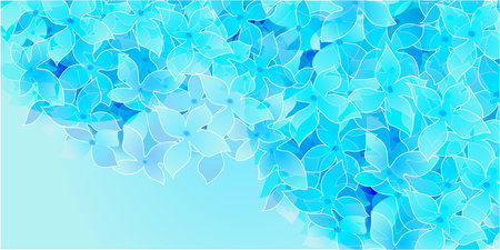 hydrangea rainy season flower backgroundのイラスト素材