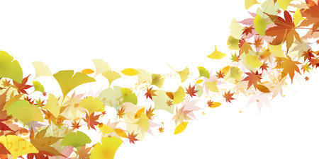 Autumn Leaves Ginkgo Autumn Backgroundのイラスト素材