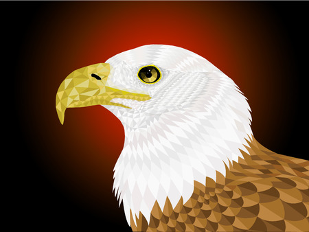 Low poly Eagle illustrationのイラスト素材