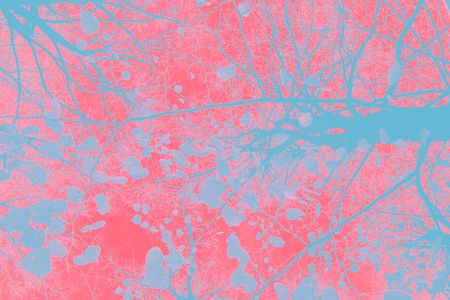 abstract composition. digital graphic art. bitmap. 2Dの写真素材