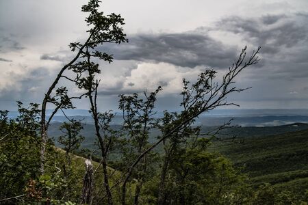 Road from Widelki to Tarnica through Bukowe Berdo in the Bieszczady Mountains in Polandの写真素材