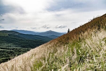 Road from Widelki to Tarnica through Bukowe Berdo in the Bieszczady Mountains in Polandの写真素材